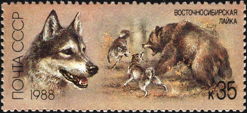 image of a soviet union 1988 CP 5949 stamp of a bear and husky fighting